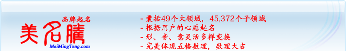 49個大領(lǐng)域，45,372個子領(lǐng)域；根據(jù)用戶的心愿起名；形，音，意靈活變換；完美體現(xiàn)五格數(shù)理