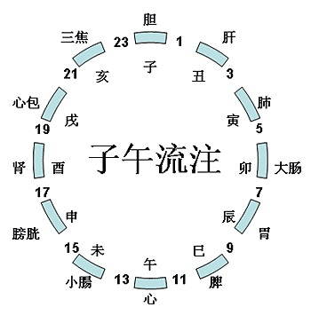 十二時(shí)辰與中醫(yī)